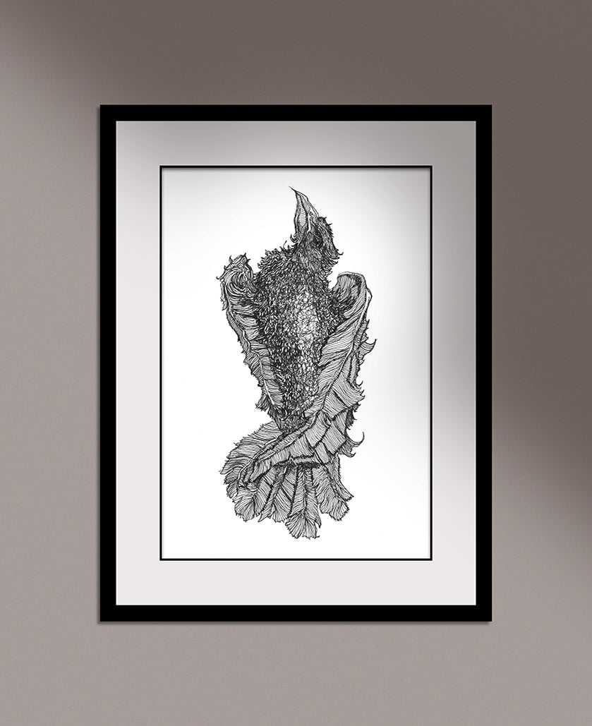 A framed illustration of a dead crow by Anthony Quinn Irish Mythology artist
