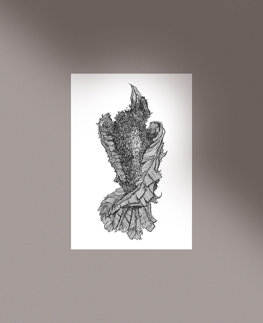 Unframed illustration of a dead crow by Anthony Quinn Irish Mythology artist