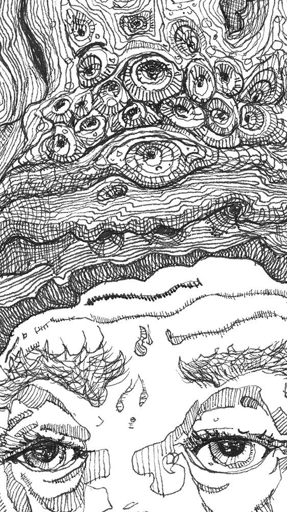 Who is King of the Birds? fine art print