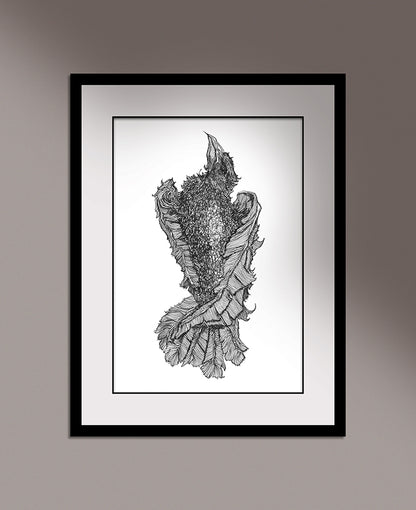 A framed illustration of a dead crow by Anthony Quinn Irish Mythology artist