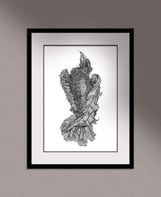 A framed illustration of a dead crow by Anthony Quinn Irish Mythology artist